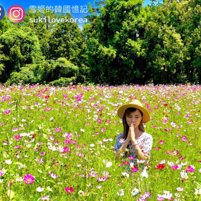 [濟州/景點/追星打卡] 韓妹推薦的5個神秘美景打卡美拍景點