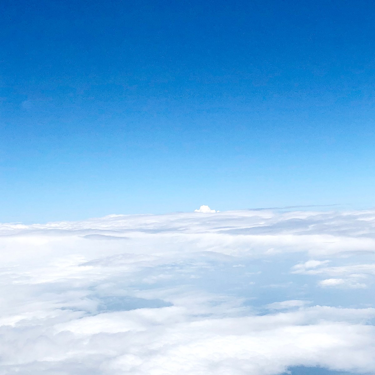 [濟州/機場] 濟州國際機場攻略補充