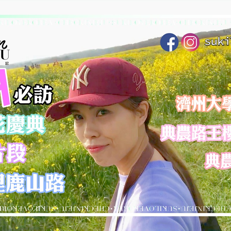 [濟州/花況] 鹿山路油菜花櫻花公路(影片)