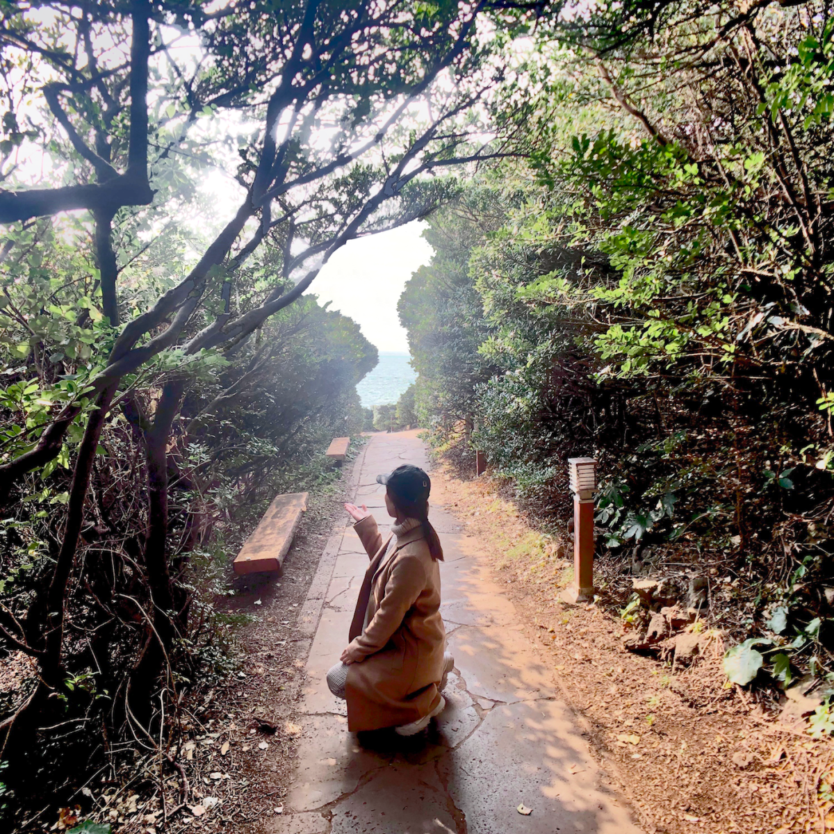 [濟洲/行程] 即學即用!濟州遊基本行程編排簡易教學!